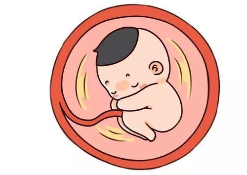 孕期吃dha宝宝会聪明吗
