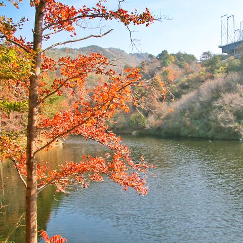 武汉市的市区是什么意思