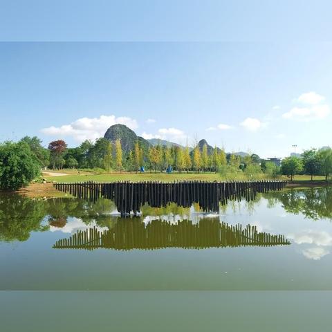 桂林市哪里有板栗