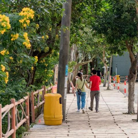 东莞市的洗涤市场有哪些