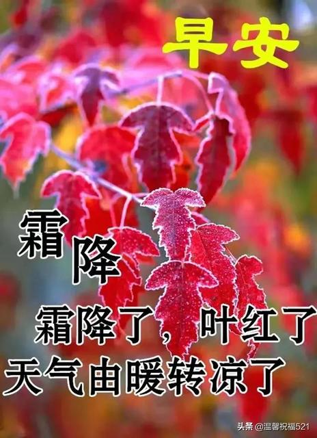 霜降节气早安心语朋友圈