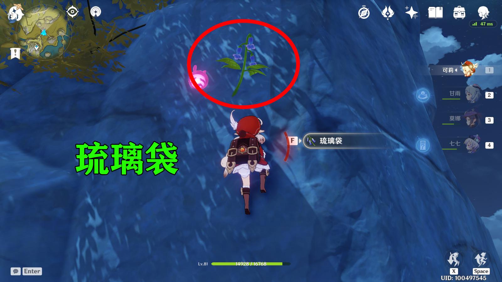 原神琉璃峰怎么进地下（原神动物多久刷新）