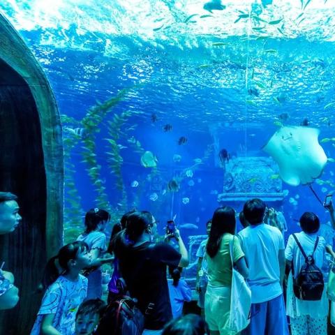 桂林市海洋村怎么走