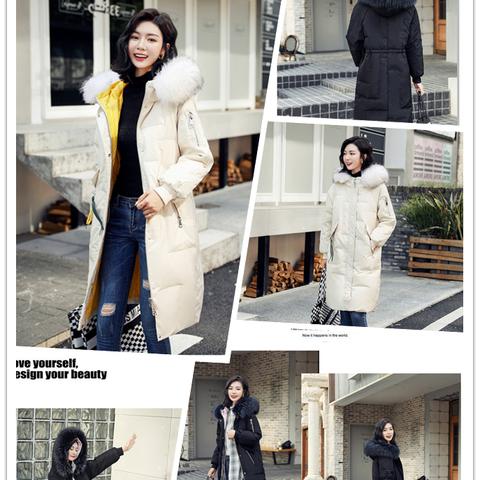 哈尔滨冰淇淋仓库在哪相关长尾关键词有哪些