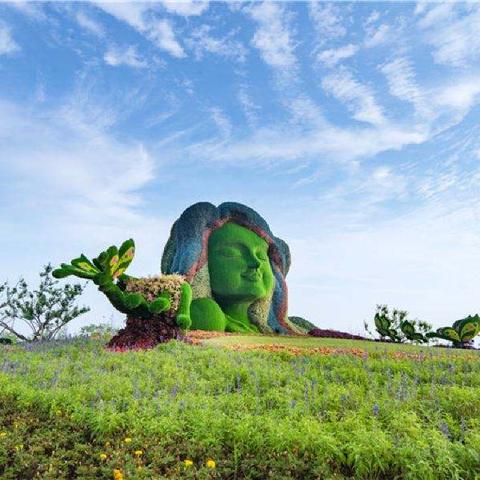 合肥星座健身俱乐部相关长尾关键词有哪些