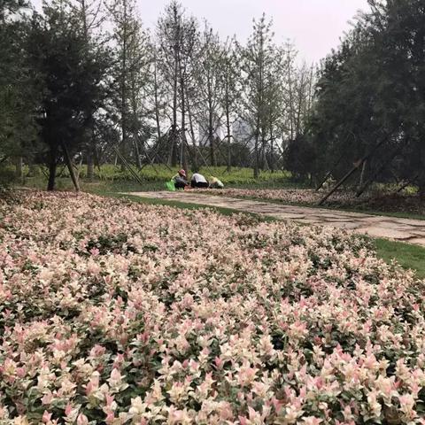 南通南方市场公交站相关长尾关键词有哪些