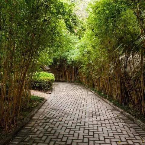 苏州市最大的温泉是哪个