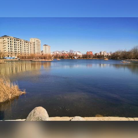 大连市泽龙湖在什么区