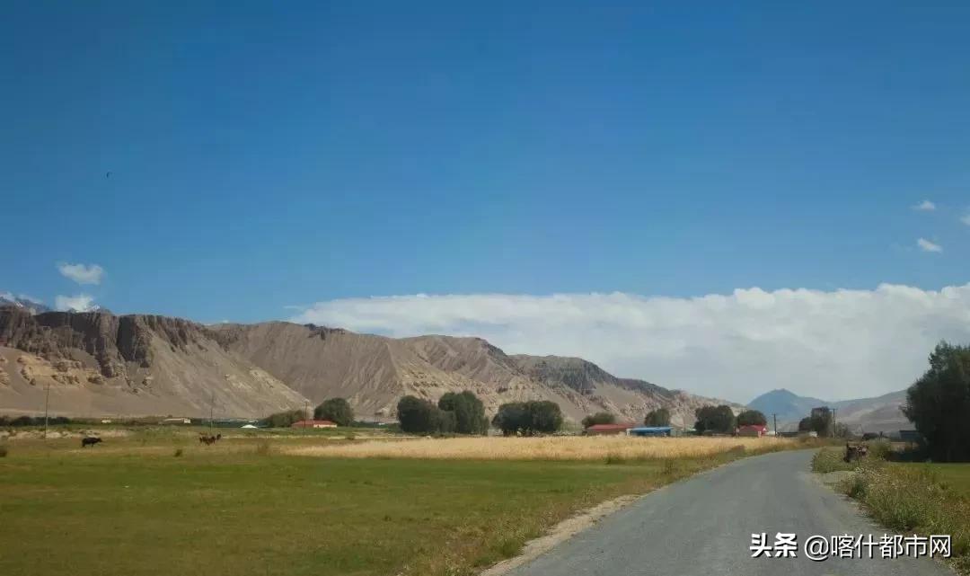 新疆喀什疫情最新官方消息
 /新疆喀什疫情最新官方消息今天