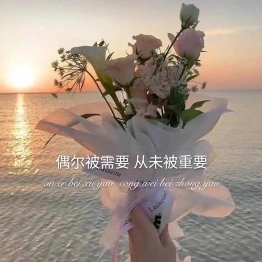 抖音热门背景图