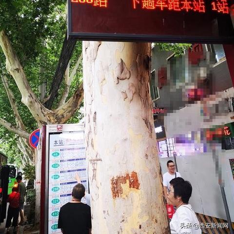 济南南郊宾馆附近站牌相关长尾关键词有哪些
