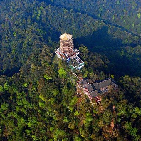 洛阳市和哈尔滨市哪个大