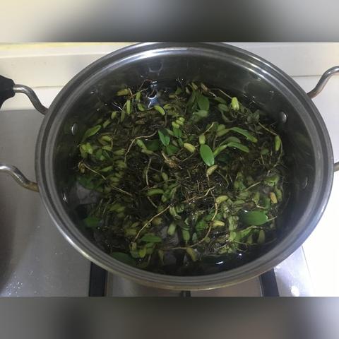 福建特产 补品的相关长尾关键词有哪些