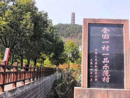 回农村做自媒体，看看我的感受，干什么都不容易啊