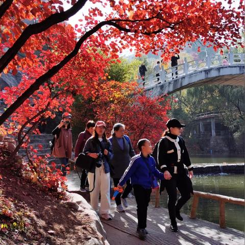 济南红叶谷坐哪几路公交车可以到？