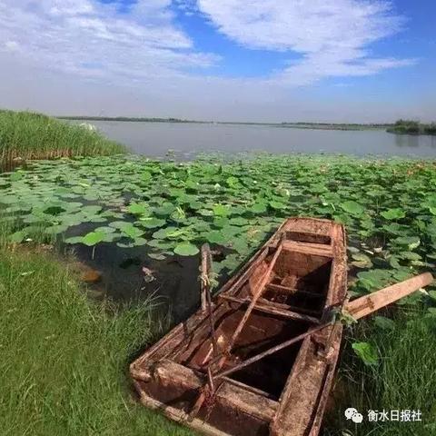 合肥滨湖旁边游玩的湖？