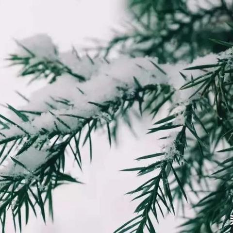 最佳解答:剩水残山猜打一最佳准确生肖正确|是指代表什么生肖|解一释义谜底分析解释