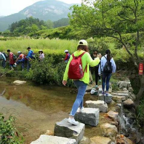 武汉到麻城有多少公里？