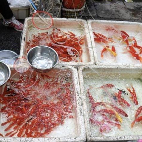 西安市西仓卖什么地方