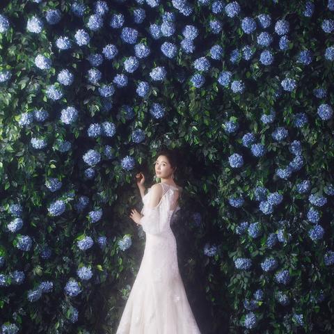 广东省佛山市婚纱馆的长尾关键词有哪些