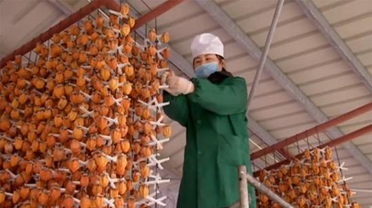一个乡镇裁缝，因病欠债创业，一年赚了1500万，她挣钱方法厉害了