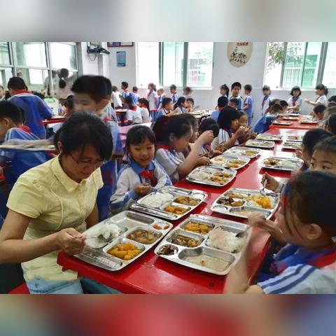 深圳市哪个区教师公寓好