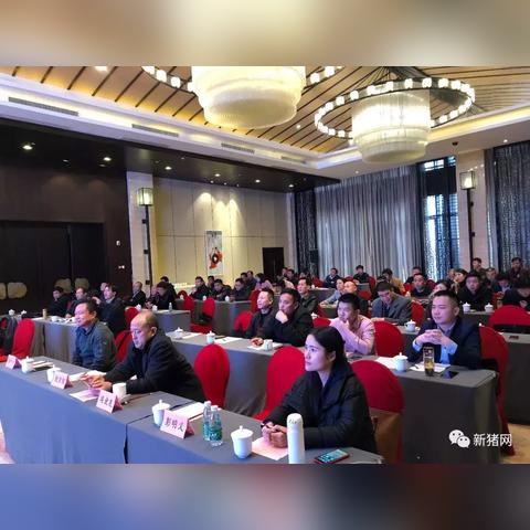 【合肥今日生猪价格】2025年6月17日合肥生猪价格是多少