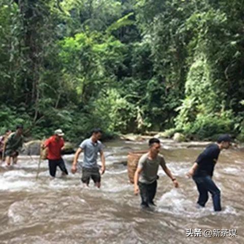 长安到东莞市茶山镇的长尾关键词有什么