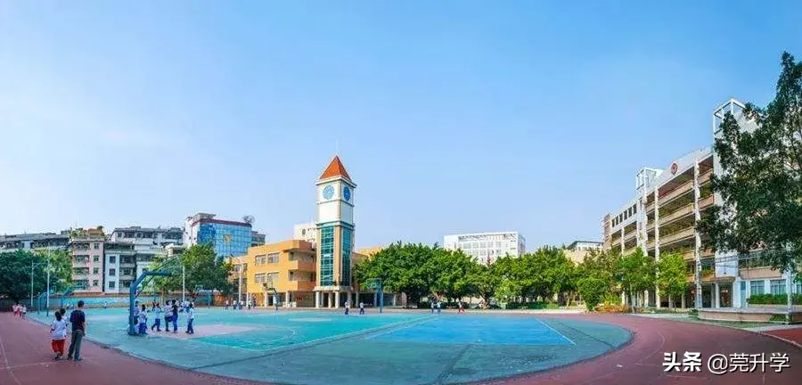 怎样查学生成绩网站排名 在什么网站查中招成绩排名