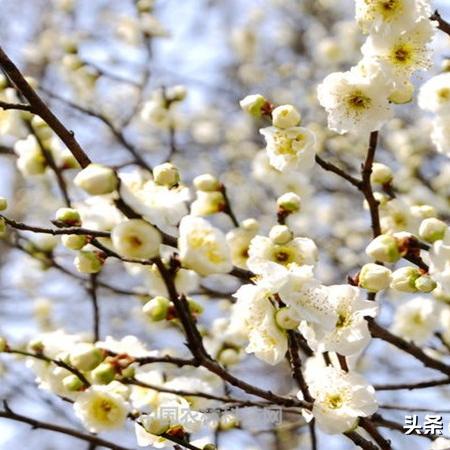 无锡市钢质洁净门哪里买