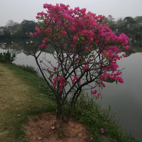 2025.12.15佛山今天空气质量指数怎么样