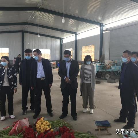 菏泽市大树集团电话的长尾关键词有哪些