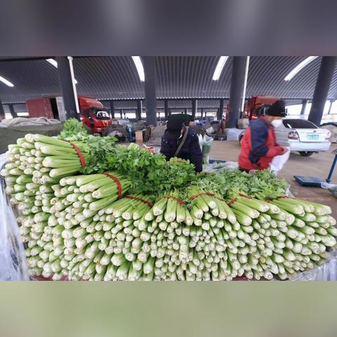 【天津今日菜价】2025年5月2日天津菜价是多少