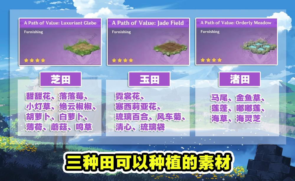 原神疑此芝田怎么获得（原神家园中各个田地种什么）