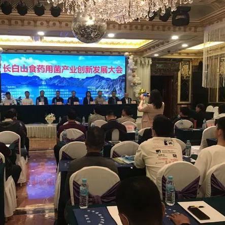 延边天气长白山天气预报的长尾关键词有哪些