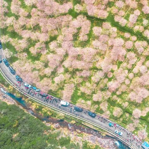无锡市鲜花定做店铺的长尾关键词有什么