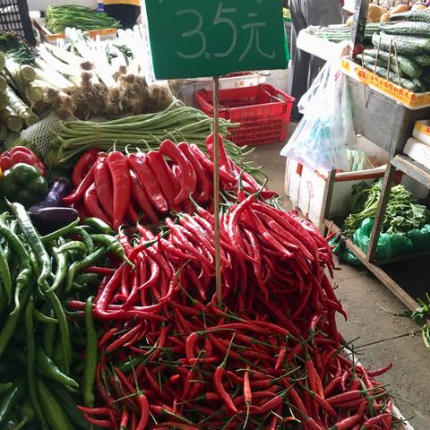 【深圳今日菜价】2025年7月13日深圳菜价是多少