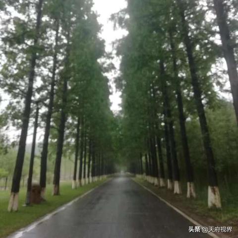 成都市哪里买黄海汽车