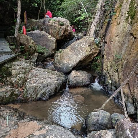 东莞市最美景区在哪里