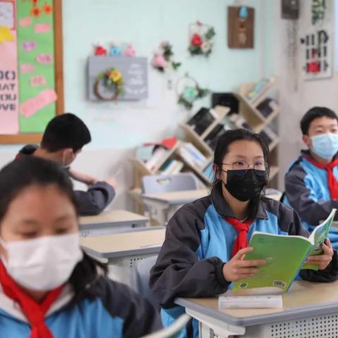 北外橄榄树杭州学校的相关长尾关键词有哪些