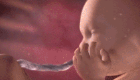 胎儿绕颈是胎宝宝太顽皮吗？需要做哪些功课
