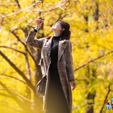 平乐到桂林市要多久