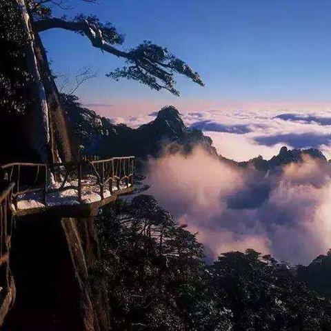 浙江人在印度做什么生意的长尾关键词是什么