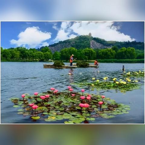 上海好玩的湿地有哪些