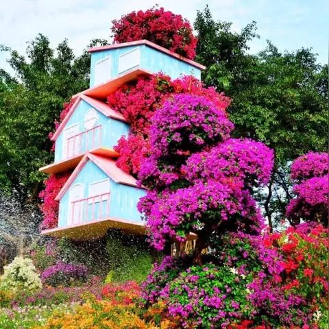 为什么把广州市叫花城