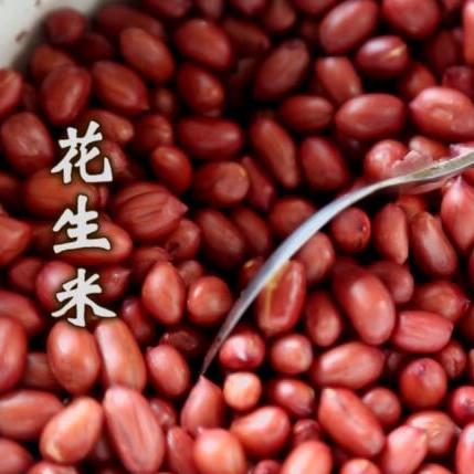 合肥市哪里有刺激