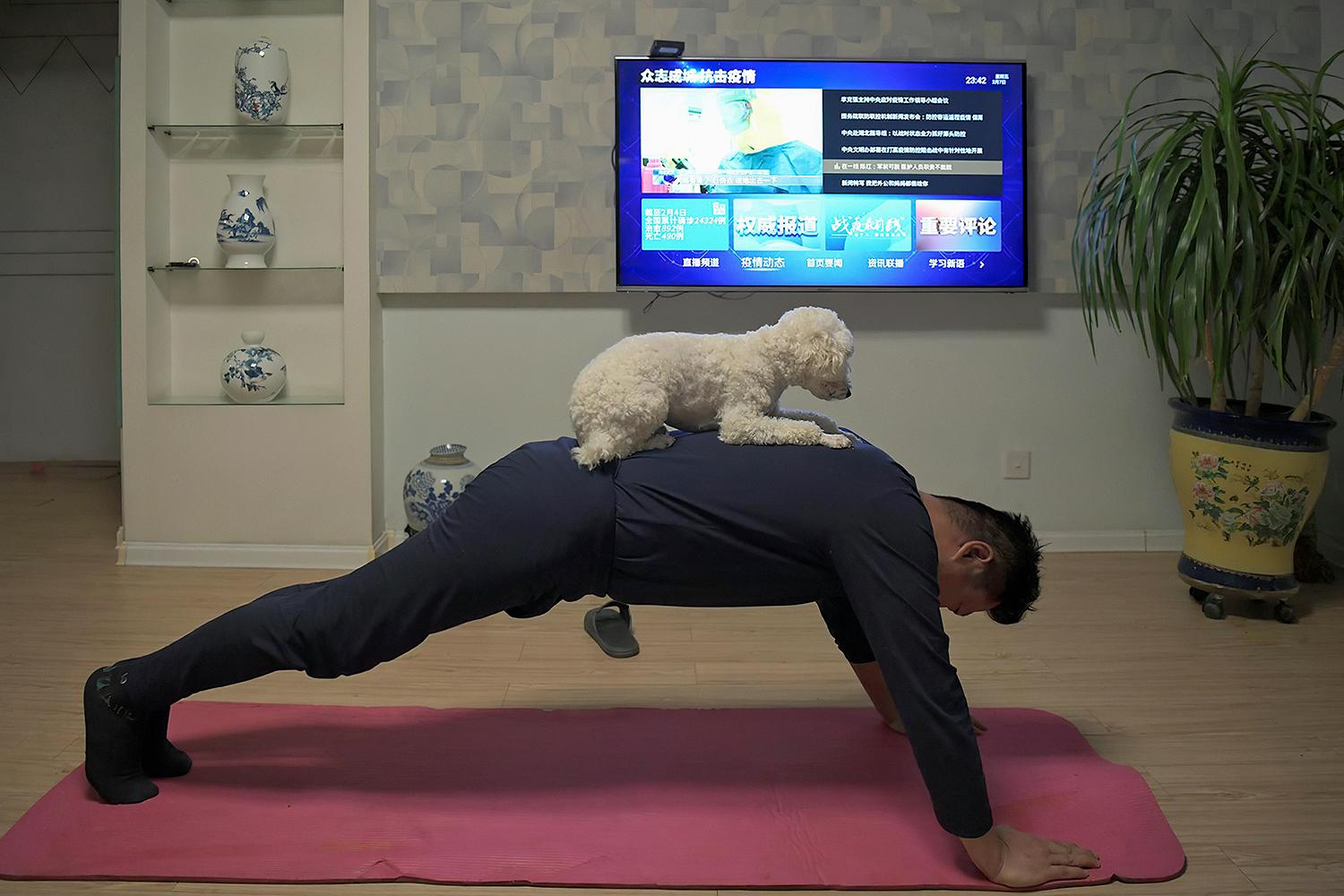 【榆次疫情最新消息
 /榆次疫情最新消息今天】