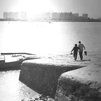 温州市陆运的长尾关键词有什么