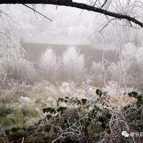 福建下雪了意味着啥？