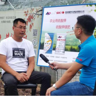 石家庄市农资市场在哪里